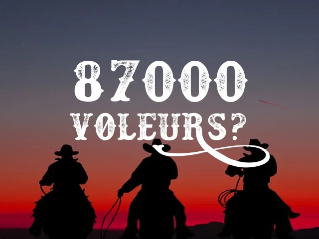 Remboursement de l'aide CoVid (DIPA) : 87 000 voleurs? On se moque de nous !