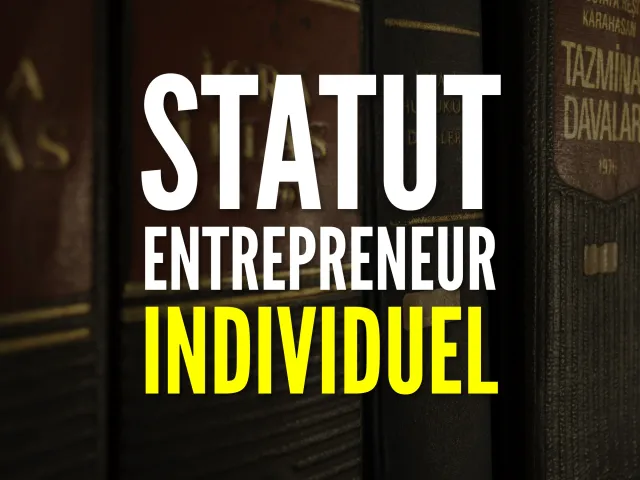 Le nouveau statut de l'entrepreneur individuel