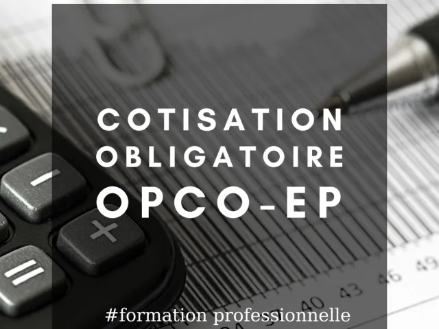 Contribution à la formation professionnelle : Cotisation OBLIGATOIRE avant VENDREDI (01/03/2024) 