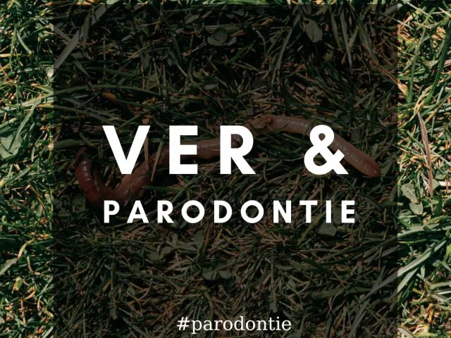 Pour nettoyer les poches parodontales: un ver d’O2