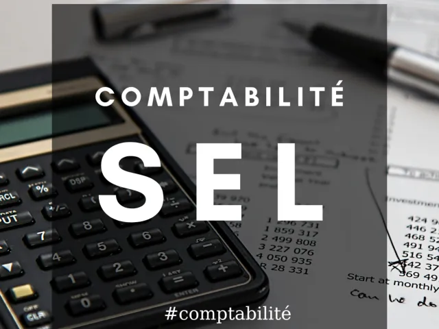 Praticiens en SEL : ayez recours à un expert-comptable !