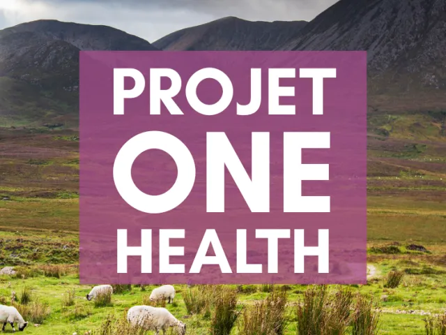 Exemple réussi de projet "One health"