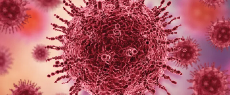 Corona virus : une mystérieuse infection virale